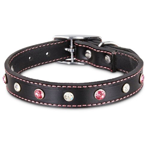 Bond & Co. Pink Jewel Leather Dog collar, For Neck Sizes 12-15, Small
