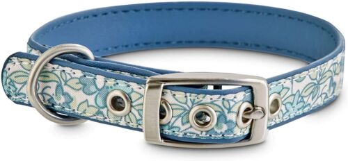 Bond & Co. Baby Blue Blossom Dog Collar, XX-Small By: Bond & Co