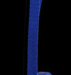 Bond-Co-Blue-Nylon-Dog-Leash-12-Width-6.jpg