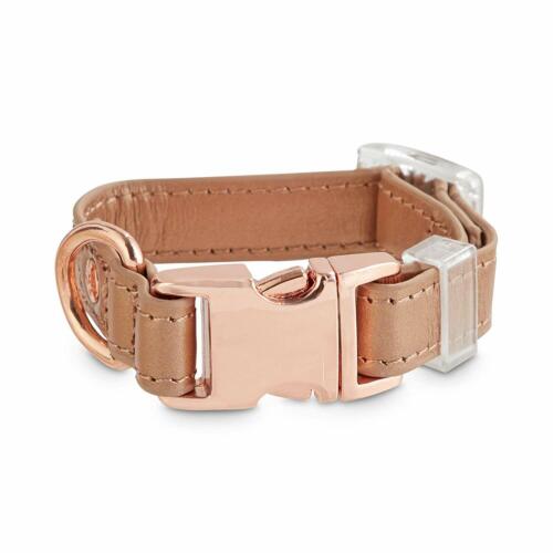 Bond & Co. Rose Gold Leather Dog Collar, XX-Small By: Bond & Co