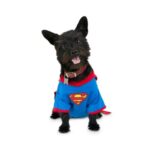 DC-Comics-Justice-League-Superman-Dog-Bandana-Extra-Large-By.jpg