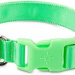 GOOD2GO-Neon-Green-LED-Light-Up-Dog-Collar-LARGE-by-GOOD2GO.jpg