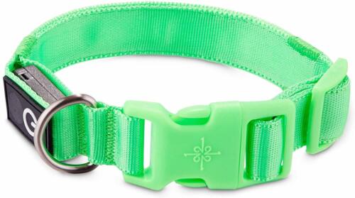 GOOD2GO Neon Green LED Light-Up Dog Collar LARGE:  by GOOD2GO