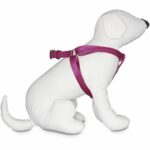Good2Go-Adjustable-Berry-Dog-Harness-LargeX-Large-By-Good2Go.jpg