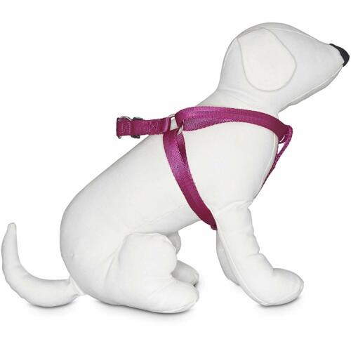 Good2Go Adjustable Berry Dog Harness, Large/X-Large By: Good2Go