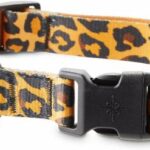 Good2Go-Cheetah-Print-Dog-Collar-Small-By-Good2Go.jpg