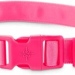 Good2Go-Neon-Pink-LED-Light-Up-Dog-Collar-Large-By-Good2Go.jpg