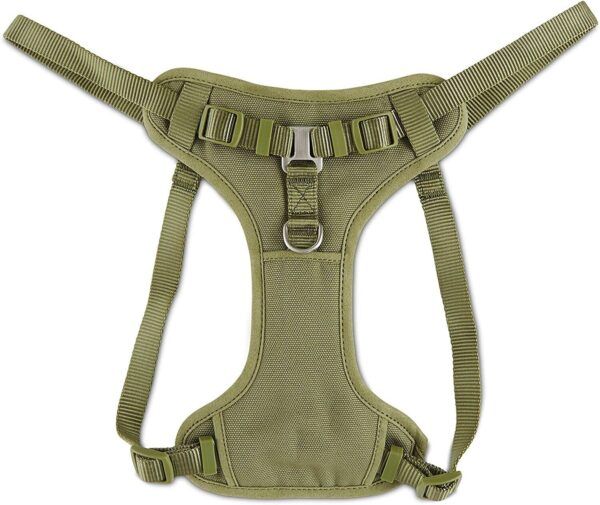 Good2Go Padded Step-in Dog Harness, Size Small Color Green