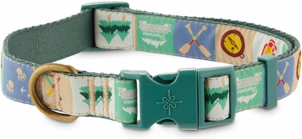 Good2Go Pawsome Adventures Dog Collar, Medium By: Good2Go