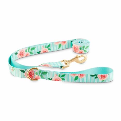 Good2Go Pink Rose Print Dog Leash in Blue, 6 ft. By: Good2Go