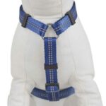 Good2Go-Reflective-Adjustable-Dog-Harness-in-Blue-Small-By-Good2Go.jpg