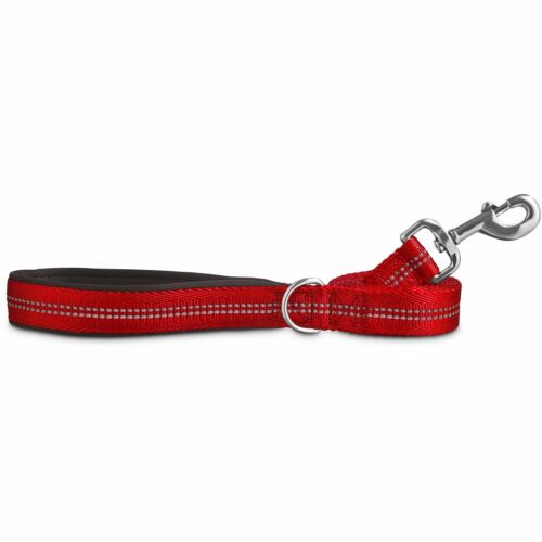 Good2Go Reflective Leash in Red, 6 ft. By: Good2Go