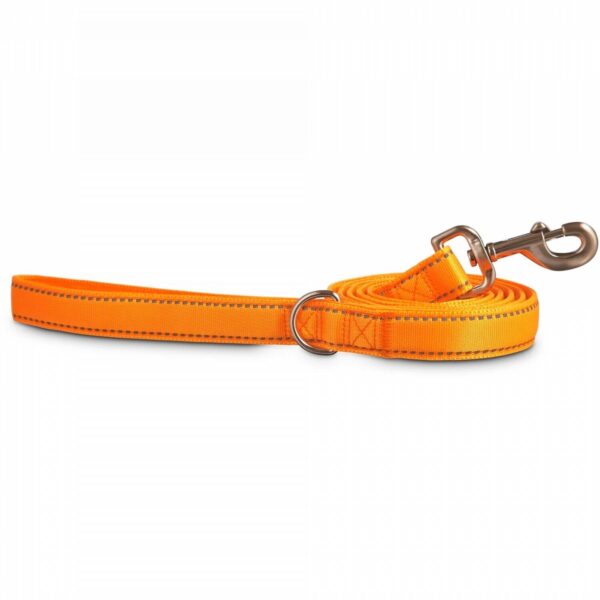 Good2Go Reflective Padded Leash in Orange, 6′ x 1″ One Size Fits All by Good2Go
