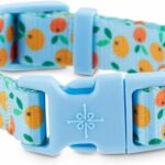 Good2Go-Ripe-Orange-Dog-Collar-Large-By-Good2Go.jpg
