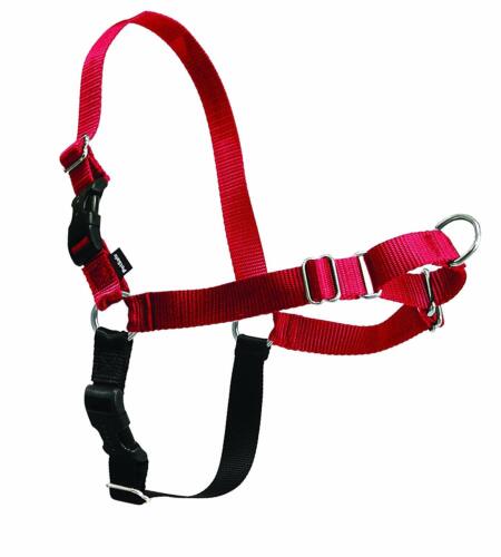 Petsafe Easy Walk Red & Black Dog Harness-medium