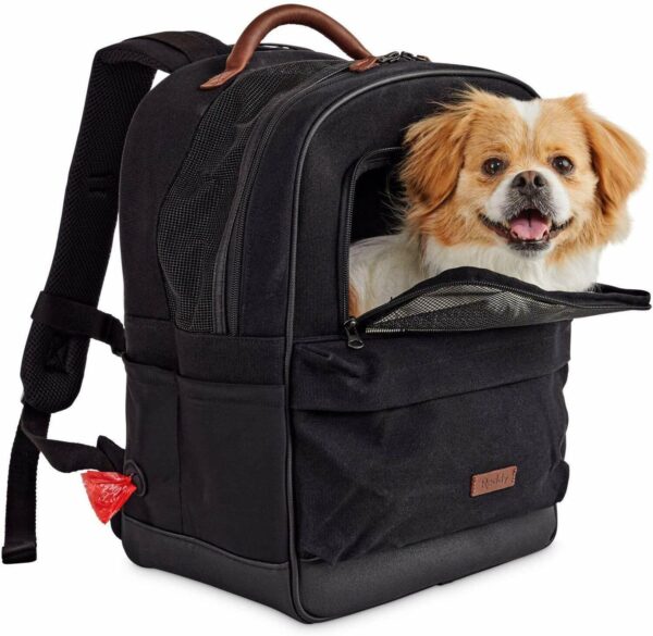 Reddy Black Cotton Canvas Pet Carrier Backpack, 16″ H x 13″ W x 8″ D By: Reddy