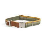 Reddy-Green-Stripe-Dog-Collar-Small.jpg