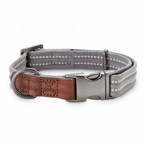 Reddy Grey Webbed Dog Collar, Large, Gray