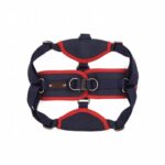 Reddy-Navy-Canvas-Step-In-Dog-Harness-Large-By-Reddy.jpg