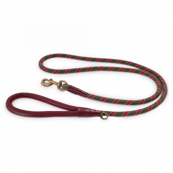 Reddy Olive Green Rope Dog Leash, 6 Ft, Original, Olive Green