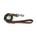 Reddy-Olive-Jacquard-Dog-Leash-6-ft.jpg