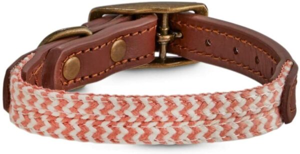 Reddy Pink Coral Chevron & Leather Dog Collar, X-Small/Small By: Reddy