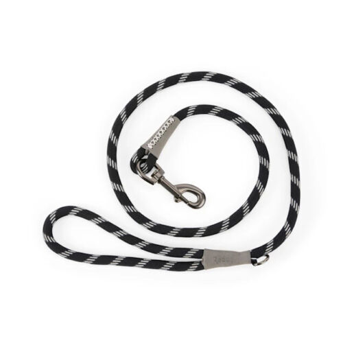Reddy Small Dog Black Leash, 4 ft.
