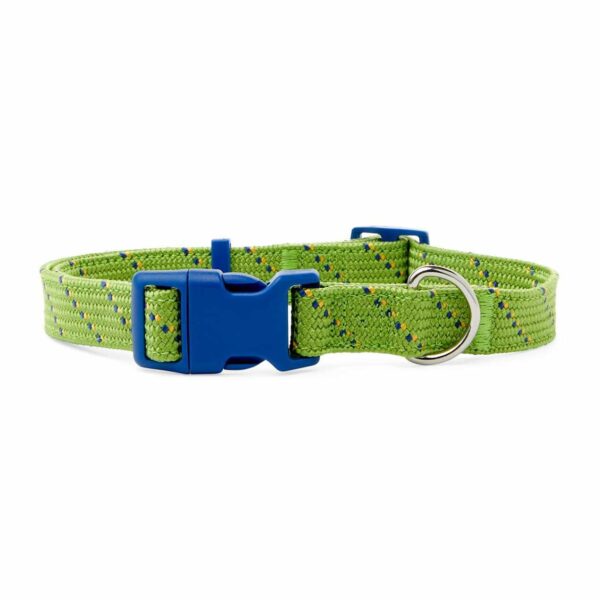 YOULY The Adventurer Green & Blue Webbed Nylon Dog Collar, Small