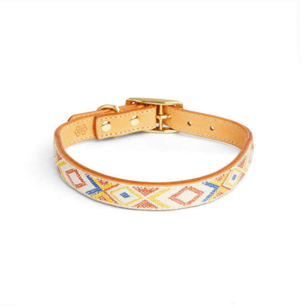 YOULY The Charismatic Tan & Multicolor Friendship Dog Collar, Small