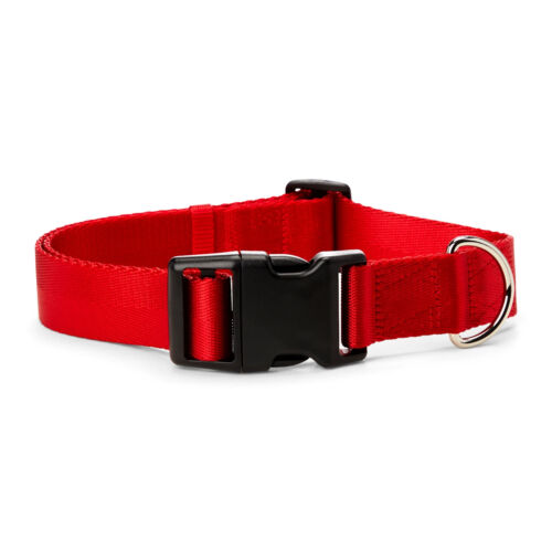 YOULY The Classic Red Webbed Nylon Dog Collar, Medium