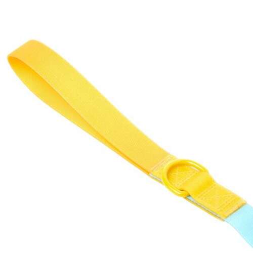 YOULY The Extrovert Water-Resistant Blue & Yellow Colorblocked Dog Leash, 6 ft.