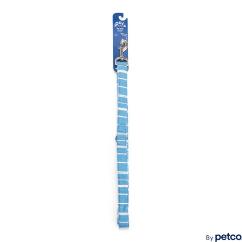 YOULY The Poet Blue Striped Dog Leash, 6 ft.