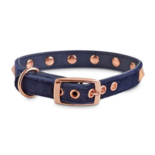Bond & Co. Blue Velvet and Rose Gold Dog Collar by Bond & Co Extra Small / Small