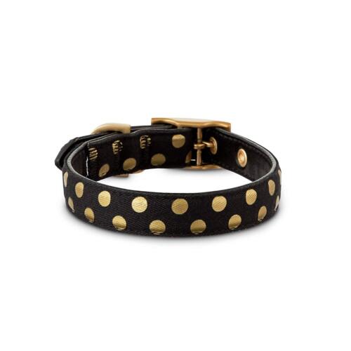 Bond & Co. Gilded Polka Dot Dog Collar, Large By: Bond & Co