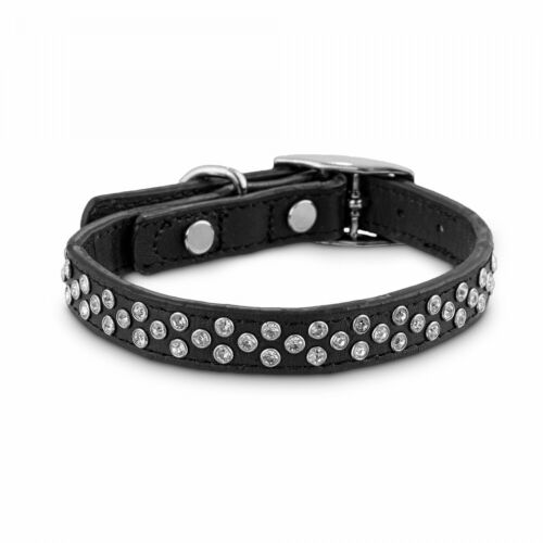 Bond & Co. Starry Night Black Leather Dog Collar, 8 – 10 in XX-Small