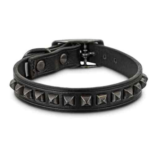 Bond & Co. Studded Black Leather Dog Collar, XX-Small