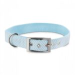 Bond-Co-Teal-Seersucker-Dog-Collar-Large-By-Bond.jpg