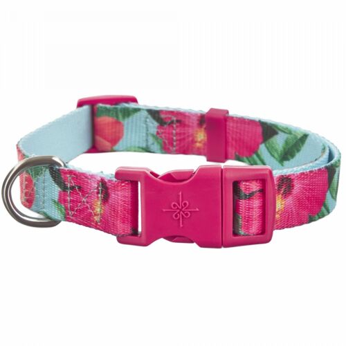Good2Go Hibiscus Print Dog Collar, Large By: Good2Go
