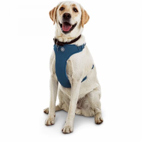 Good2Go Jubilee Blue Large Dog Harness, XX-Large/XXX-Large, XX-Large/3X-Large