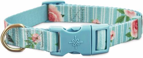 Good2Go Pink Rose Print Dog Collar in Blue, Medium By: Good2Go