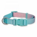 Good2Go-Teal-Ombre-Dog-Collar-by-Good2Go-Size-Large.jpg
