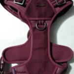 Reddy-Burgundy-Canvas-Dog-Harness-Medium-By-Reddy.jpg