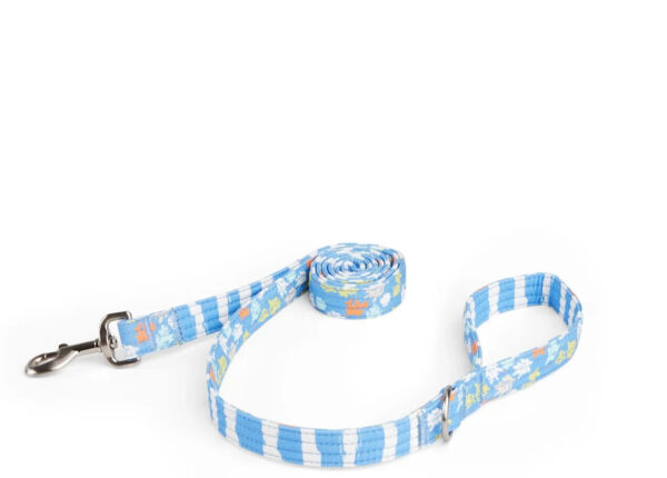 YOULY Nautical Coral Print Dog Leash, 6 ft.