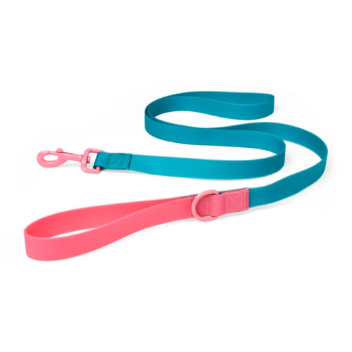 YOULY The Extrovert Water-Resistant Teal & Pink Colorblocked Dog Leash, 6 ft.