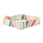 YOULY-The-Wanderer-Rainbow-Striped-Dog-Collar-Size-Small-by.jpg