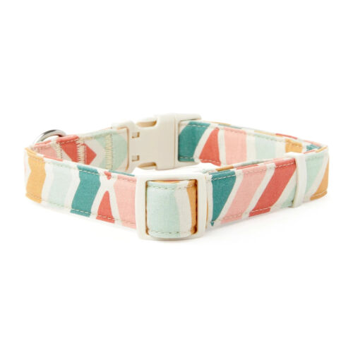 YOULY The Wanderer Rainbow Striped Dog Collar, Size Large Extra large by Good2Go