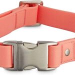 Reddy-Peach-Durable-Dog-Collar-LargeX-Large-By-Reddy.jpg