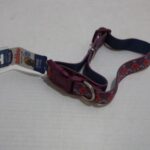 Aspen-Pet-Products-Petmate-Rubber-Collar-Color-Teal-1-x.jpg