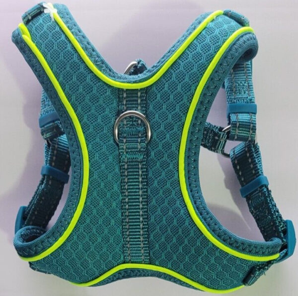EveryYay Embrace the Pace Teal Reflective Small Dog Harness, X-Small/Small