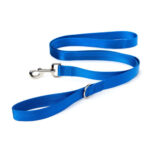YOULY-The-Classic-Blue-Webbed-6-Foot-Nylon-Dog-Leash.jpg